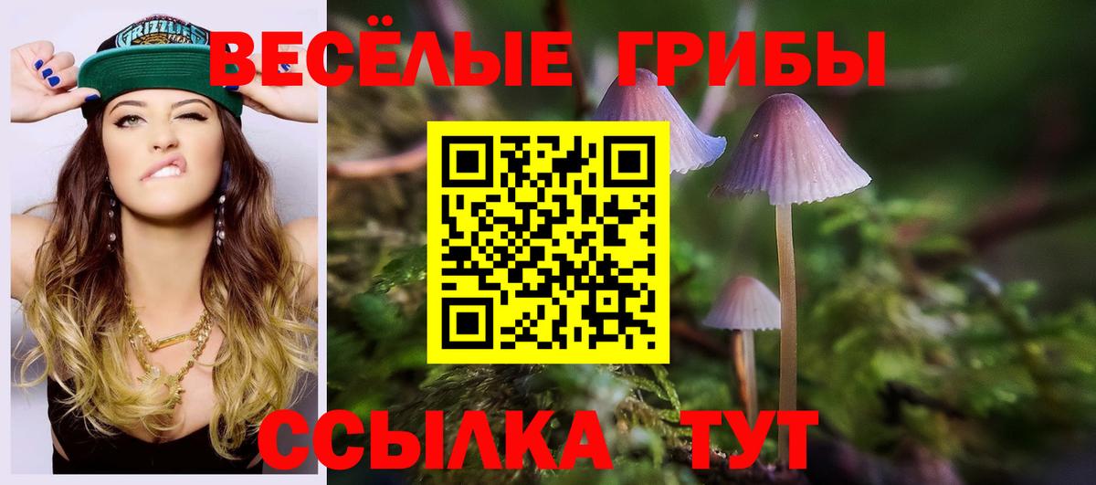 Псилоцибиновые грибы Magic Shrooms Барнаул